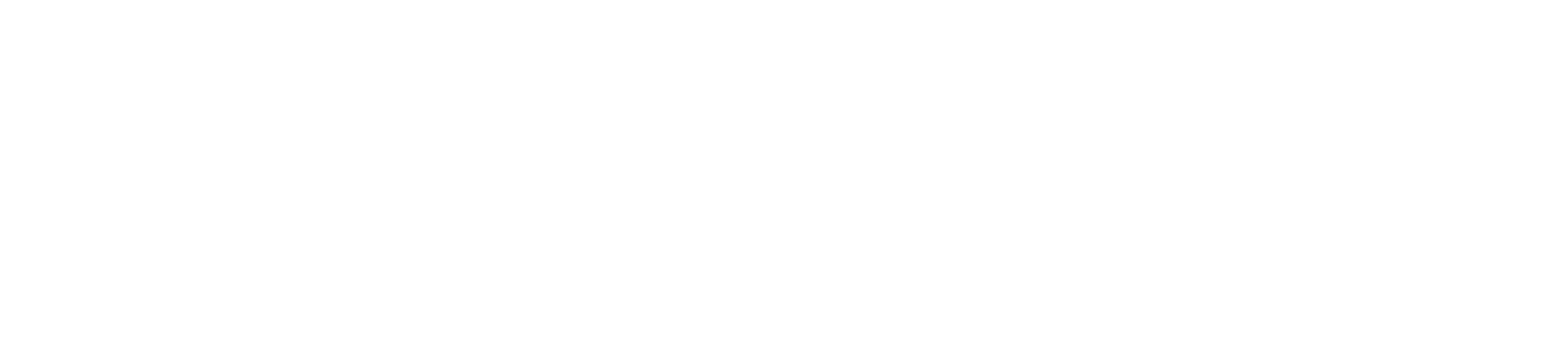 Soulink